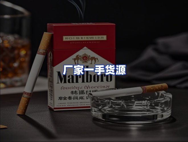 专业团队